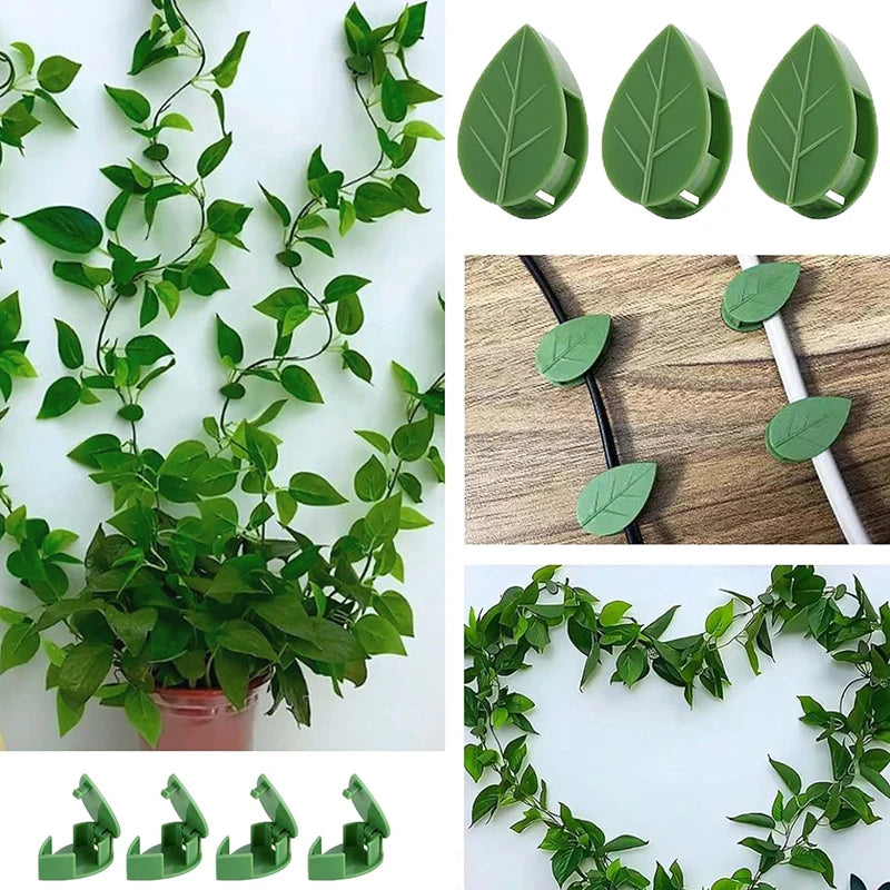 UniQart ® 10 Pcs Plant Climbing Wall Fixture Clips – Self-Adhesive Vine Holder Hooks
