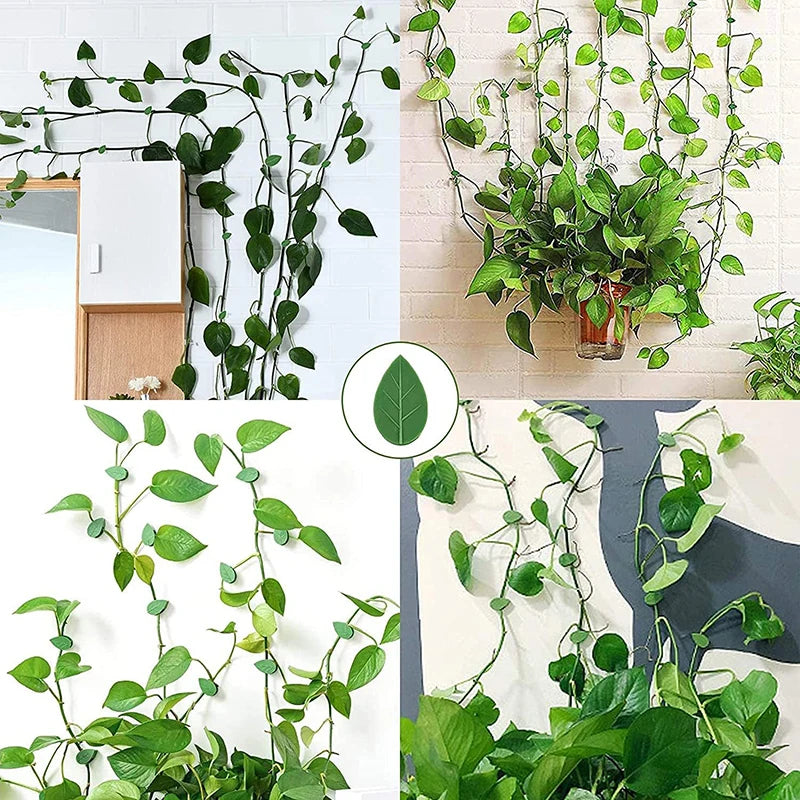 UniQart ® 10 Pcs Plant Climbing Wall Fixture Clips – Self-Adhesive Vine Holder Hooks