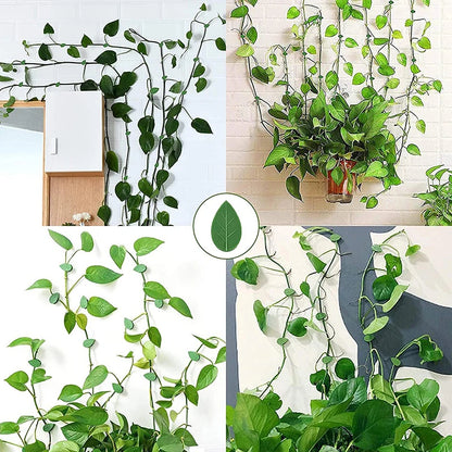 UniQart ® 10 Pcs Plant Climbing Wall Fixture Clips – Self-Adhesive Vine Holder Hooks