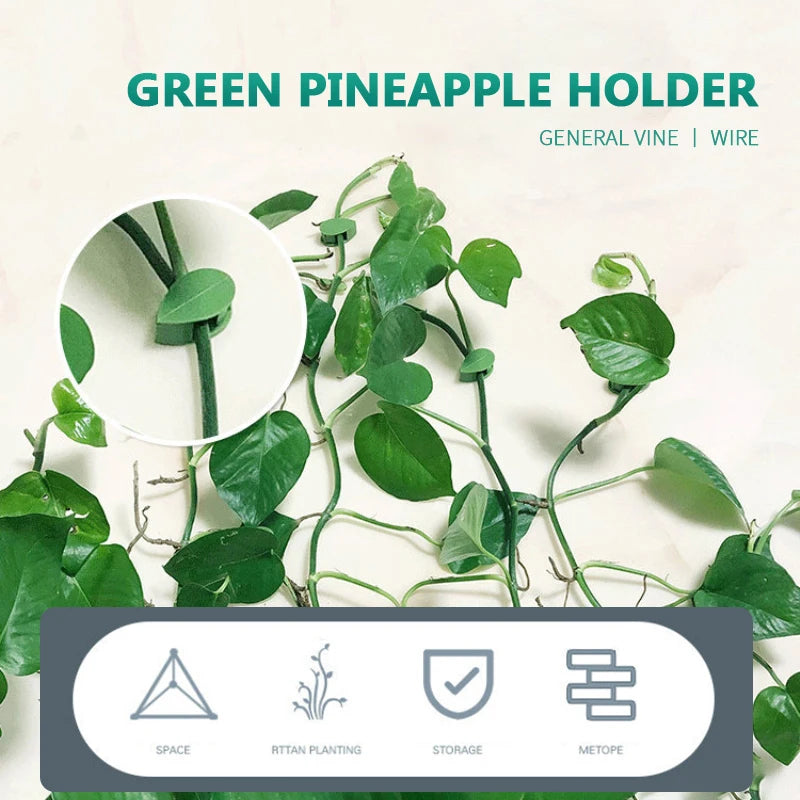 UniQart ® 10 Pcs Plant Climbing Wall Fixture Clips – Self-Adhesive Vine Holder Hooks