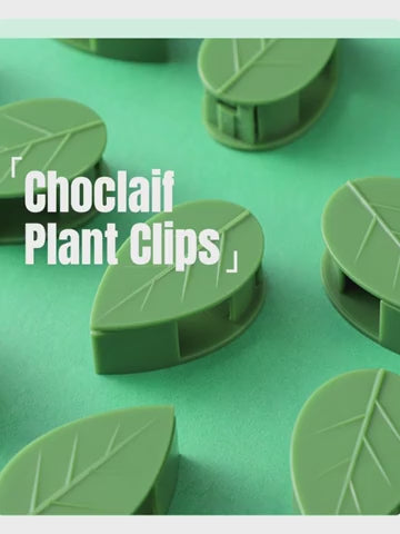 UniQart ® 10 Pcs Plant Climbing Wall Fixture Clips – Self-Adhesive Vine Holder Hooks